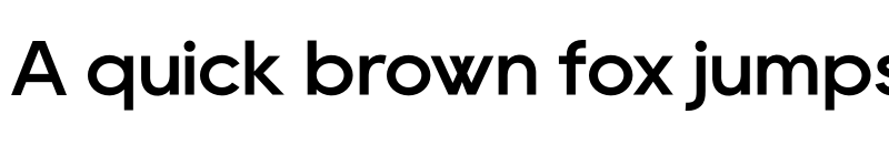 Preview of Rany Medium font