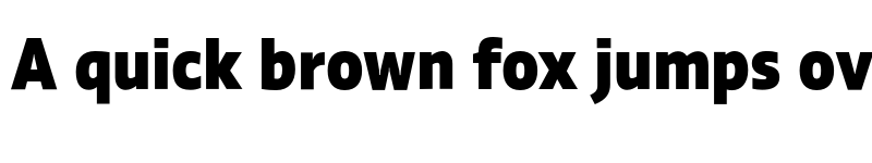 Preview of Ratio Display Heavy font