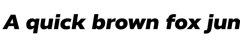 Preview of RealistWide Black Italic font