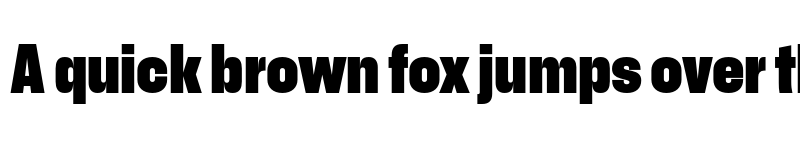 Preview of Recent Grotesk Black font