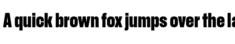 Preview of Recent Grotesk Bold font