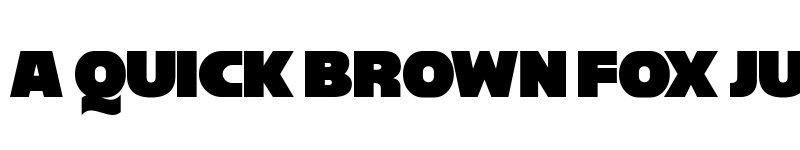 Preview of Reisenberg 2.0 Regular font