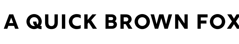 Preview of Rig Shaded Bold Face font