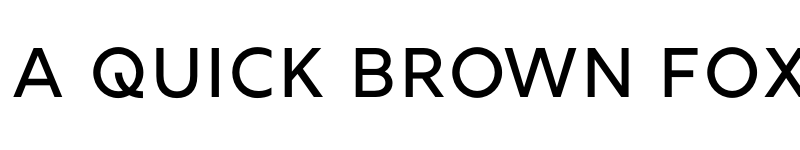 Preview of Rig Shaded Medium Face font