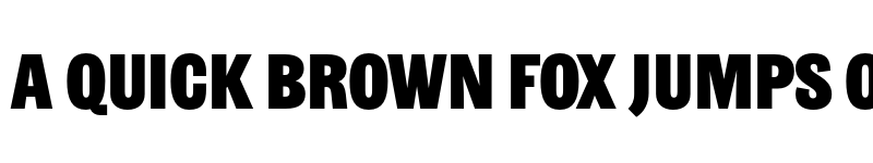 Preview of Ringold Sans font