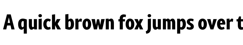 Preview of Rival Sans Narrow ExtraBold font