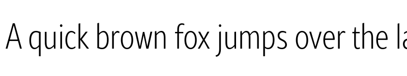 Preview of Rival Sans Narrow ExtraLight font