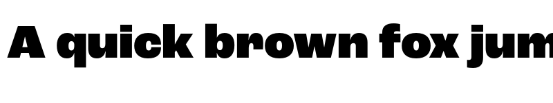 Preview of Roc Grotesk Black font