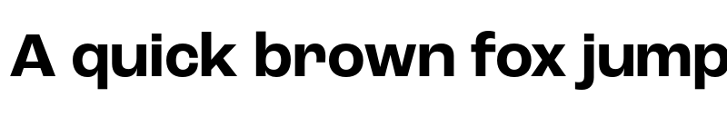 Preview of Roc Grotesk Bold font