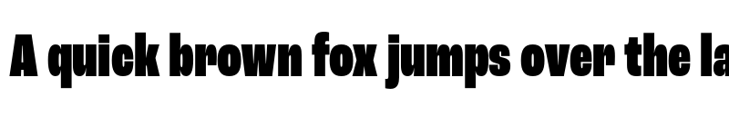 Preview of Roc Grotesk Compressed Black font