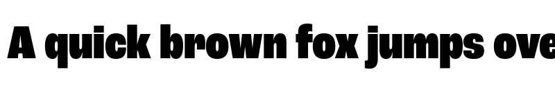 Preview of Roc Grotesk Condensed Black font