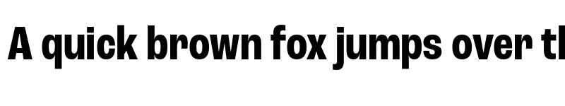 Preview of Roc Grotesk Condensed Bold font