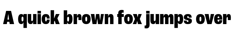 Preview of Roc Grotesk Condensed ExtraBold font