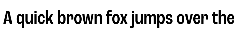 Preview of Roc Grotesk Condensed Medium font