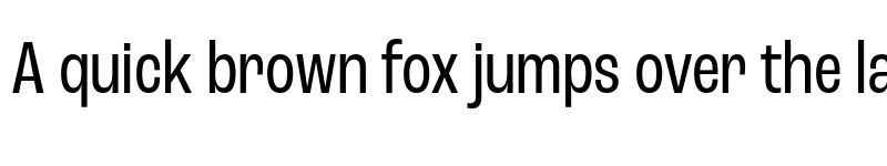 Preview of Roc Grotesk Condensed font