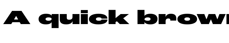 Preview of Roc Grotesk ExtraWide Black font