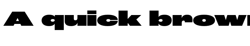 Preview of Roc Grotesk ExtraWide Heavy font