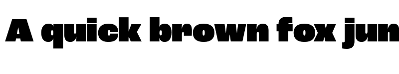 Preview of Roc Grotesk Heavy font