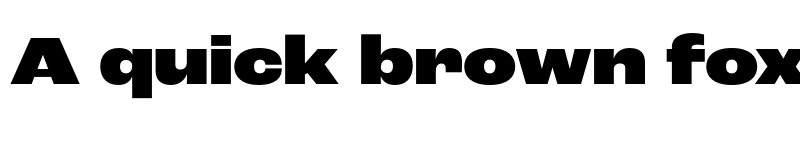 Preview of Roc Grotesk Wide Black font