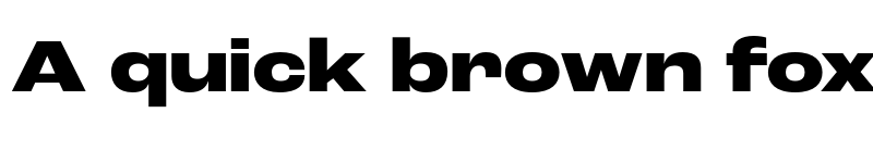 Preview of Roc Grotesk Wide ExtraBold font