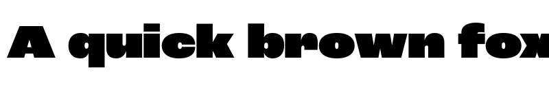 Preview of Roc Grotesk Wide Heavy font