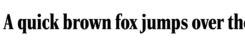 Preview of Rocky Compressed Black font