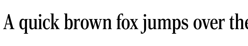 Preview of Rocky Condensed Regular font