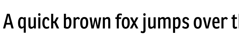 Preview of Ronnia Condensed Regular font