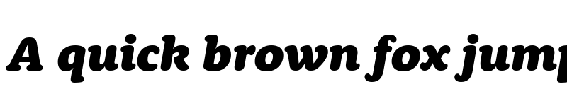 Preview of Rooney Black Italic font