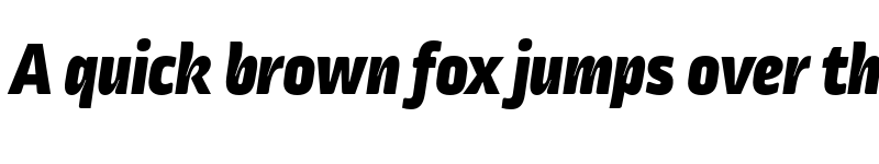 Preview of Ropa Mix Pro Black Italic font