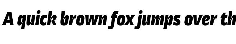 Preview of Ropa Sans Pro Black Italic font