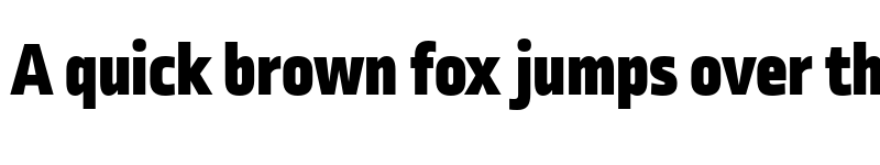 Preview of Ropa Sans Pro Black font