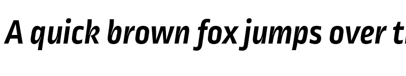 Preview of Ropa Sans Pro Bold Italic font