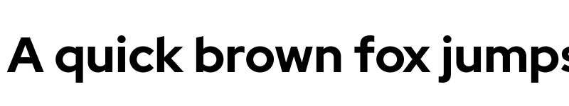 Preview of Rosa Sans Bold font