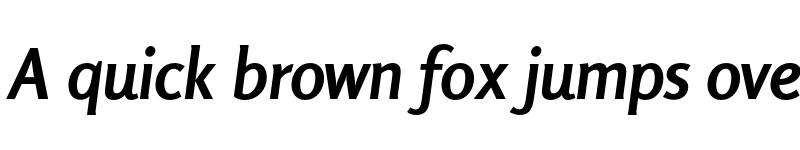 Preview of Rosario Bold Italic font