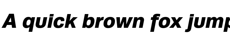 Preview of Runda Black Italic font