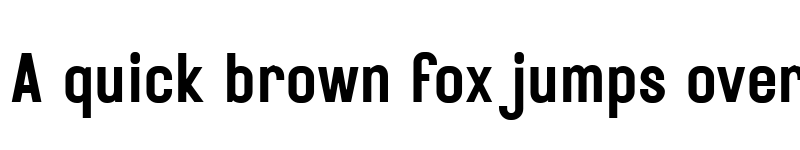 Preview of Rustic Printed Regular font