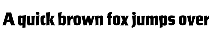 Preview of Salden Black Condensed font