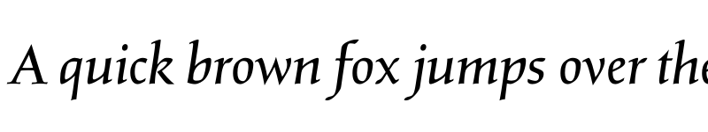 Preview of Salden Italic font