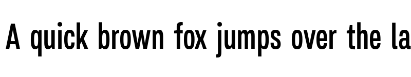 Preview of Salma Pro Medium Narrow font