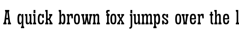 Preview of Sanford Region Demo Regular font