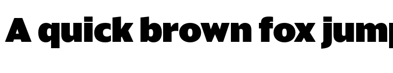 Preview of Sanomat Sans Black font