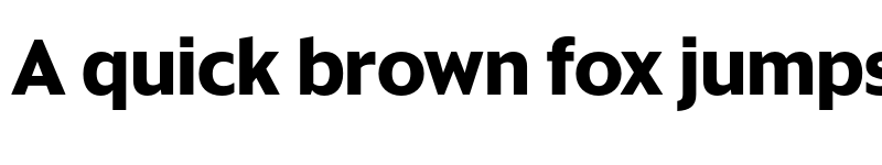 Preview of Sanomat Sans Bold font