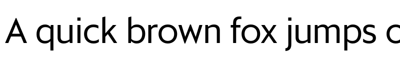 Preview of Sanomat Sans Regular font