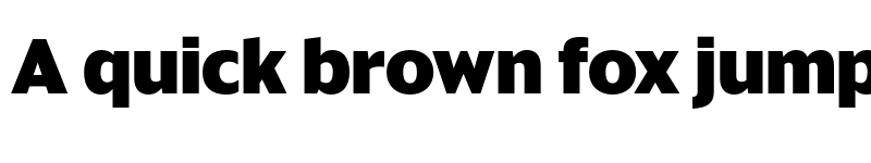 Preview of Sanomat Sans XBold font