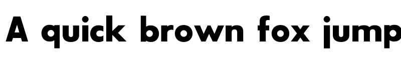 Preview of SansSerifBldFLF Medium font