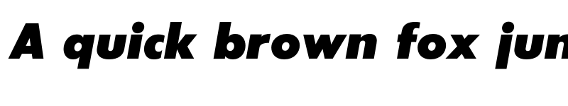 Preview of SansSerifExbFLF Italic font