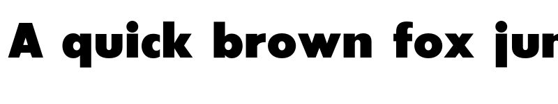 Preview of SansSerifExbFLF Medium font