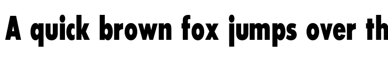 Preview of SansSerifExbFLFCond Medium font