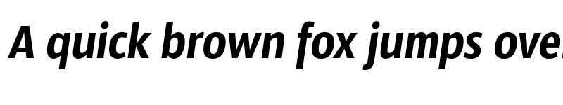 Preview of Sansus Webissimo Italic font